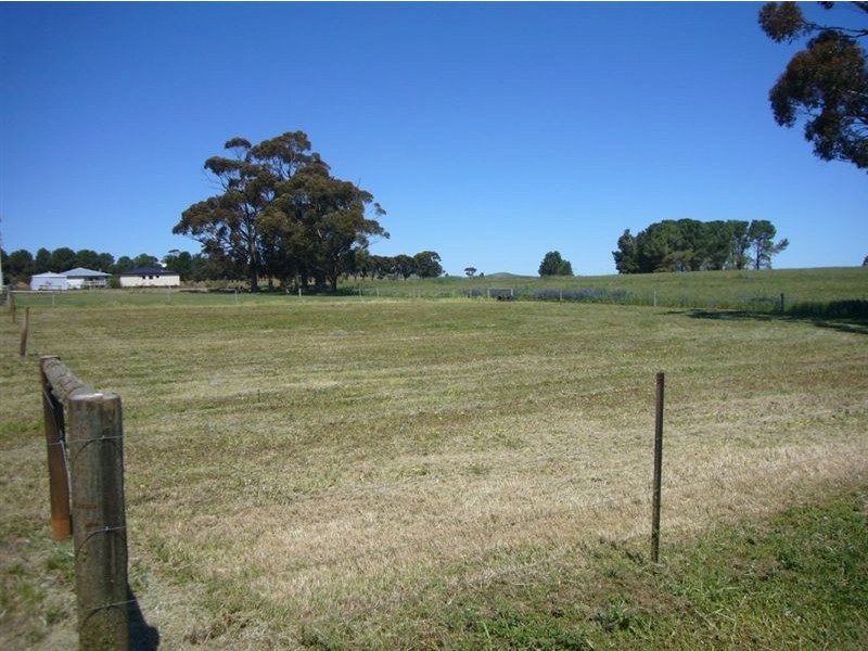 Lot 43 Merewether, Farrell Flat SA 5416