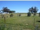 Lot 44 Merewether, Farrell Flat SA 5416