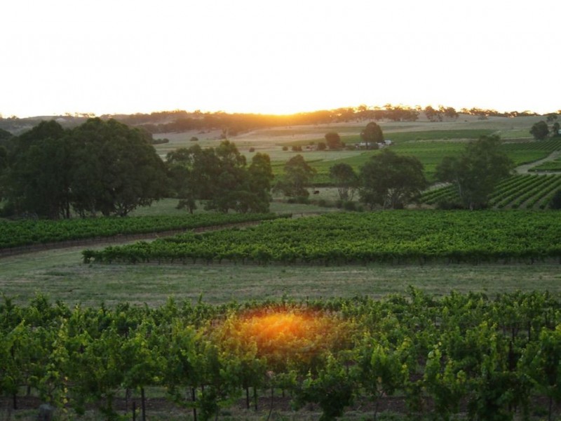 x Roach Rd, Clare SA 5453