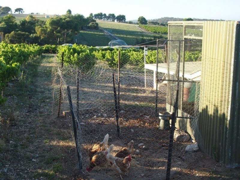 x Roach Rd, Clare SA 5453