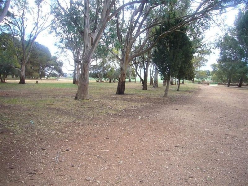 x Shafton Rd, Burra SA 5417