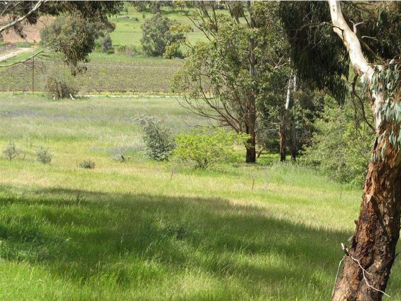 8 High Street, Clare SA 5453