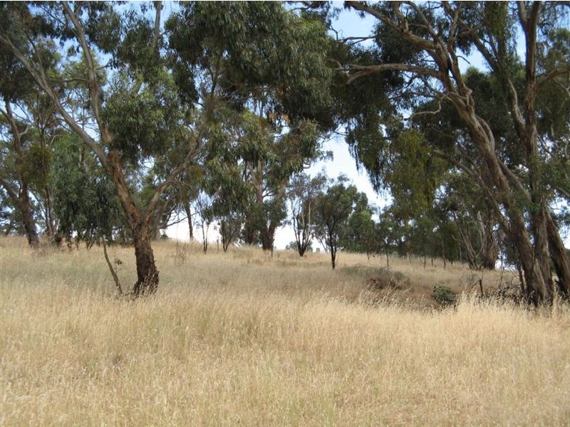 8 High Street, Clare SA 5453