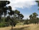 7 High Street, Clare SA 5453
