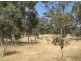 7 High Street, Clare SA 5453