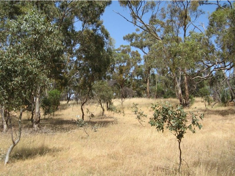 7 High Street, Clare SA 5453