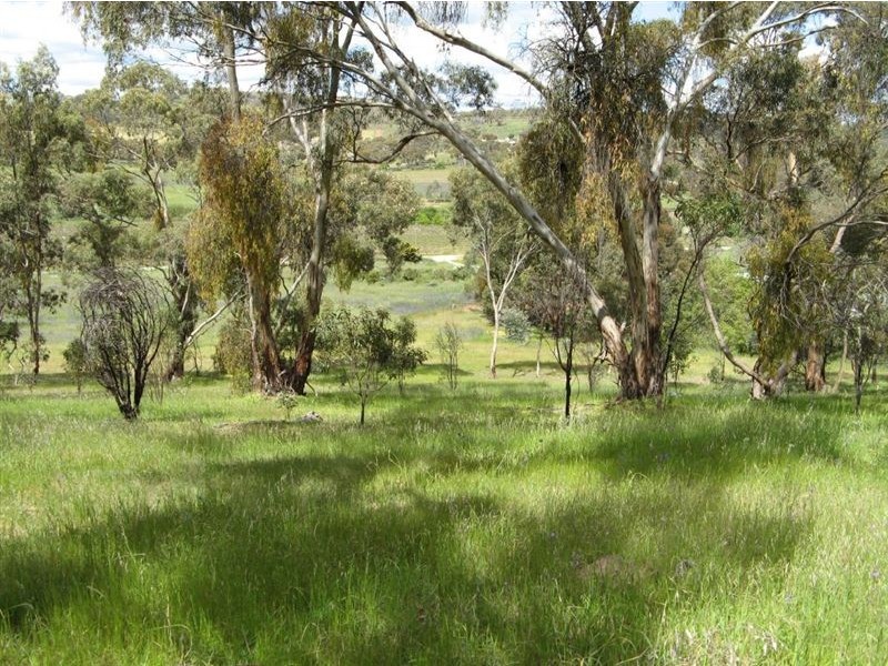 5 & 6 Dame Street, Clare SA 5453