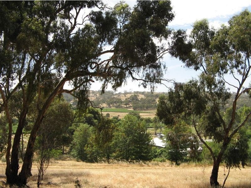 5 & 6 Dame Street, Clare SA 5453