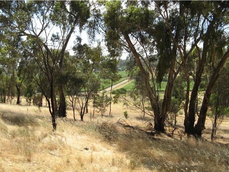 5 & 6 Dame Street, Clare SA 5453