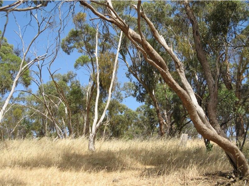 5 & 6 Dame Street, Clare SA 5453