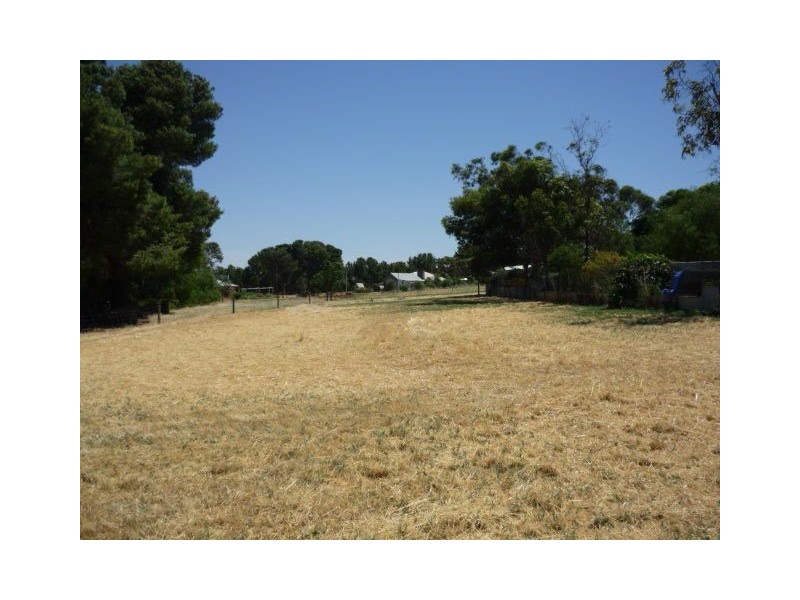 6 Aaron Street, Maitland SA 5573