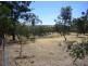 30 Warenda Road, Clare SA 5453