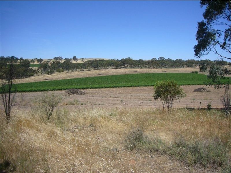 30 Warenda Road, Clare SA 5453