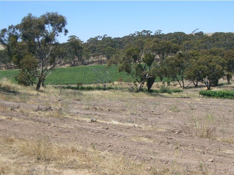 30 Warenda Road, Clare SA 5453