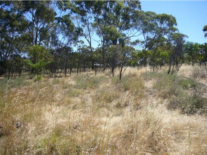30 Warenda Road, Clare SA 5453