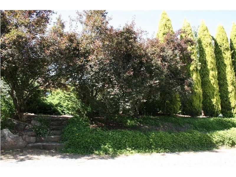 12 Murray Rd, Inglewood SA 5133