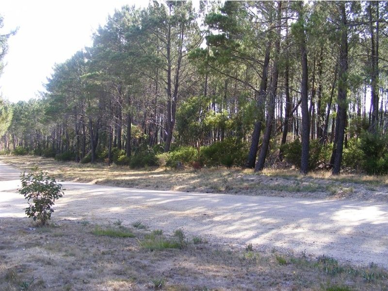 Lot 43 Ironstone Rd Forreston, Birdwood SA 5234