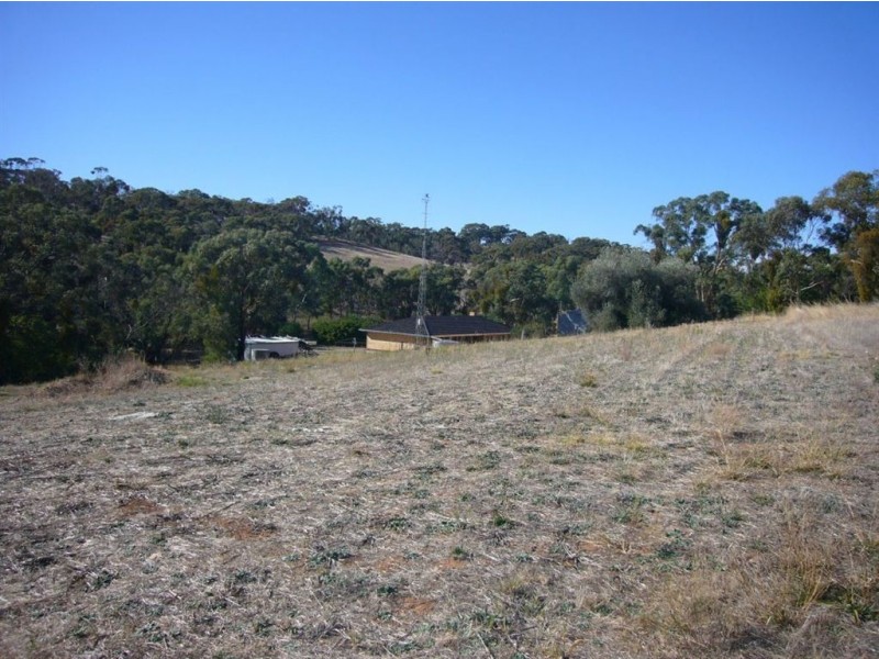 24 Trezise Way, Clare SA 5453