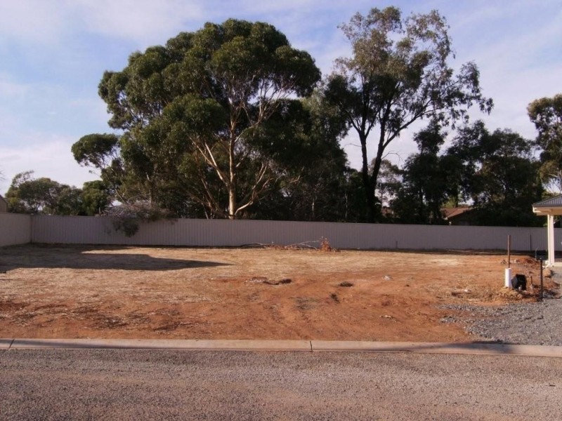 20 Cairns Crescent, Riverton SA 5412