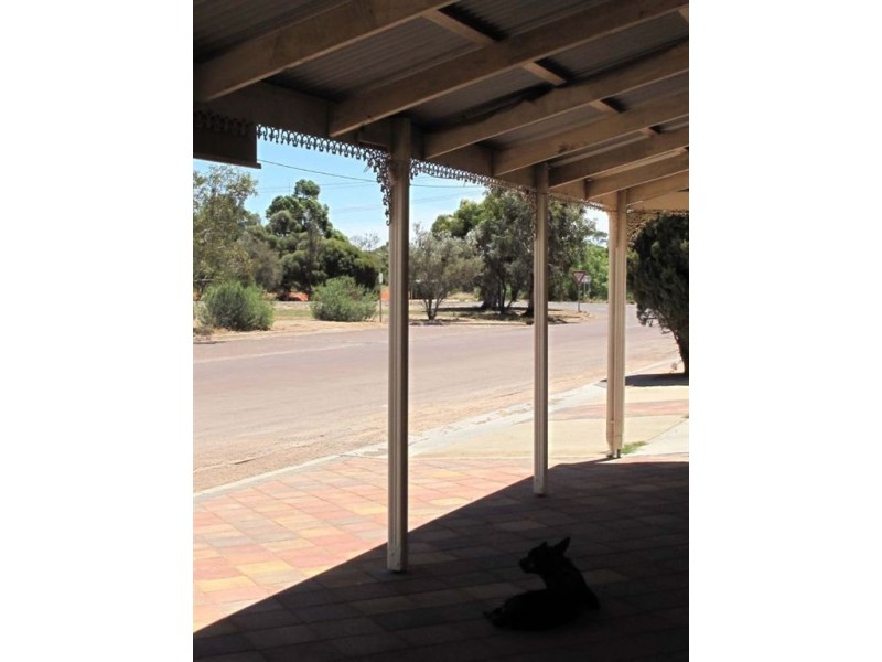 9 Burton Tce, Wudinna SA 5652