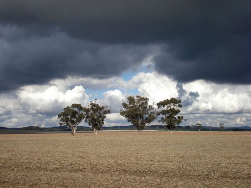 3 John St, Manoora SA 5414