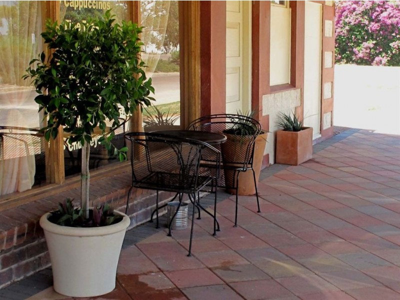 9 Burton Tce, Wudinna SA 5652