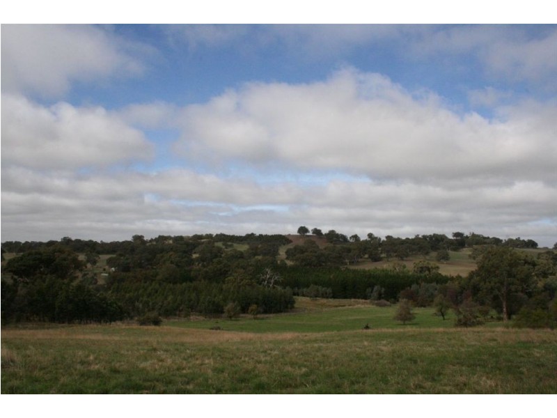 LOT 1 LAUBES RD, Springton SA 5235