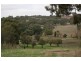 LOT 1 LAUBES RD, Springton SA 5235