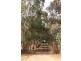 LOT 1 LAUBES RD, Springton SA 5235