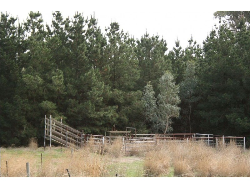 LOT 1 LAUBES RD, Springton SA 5235