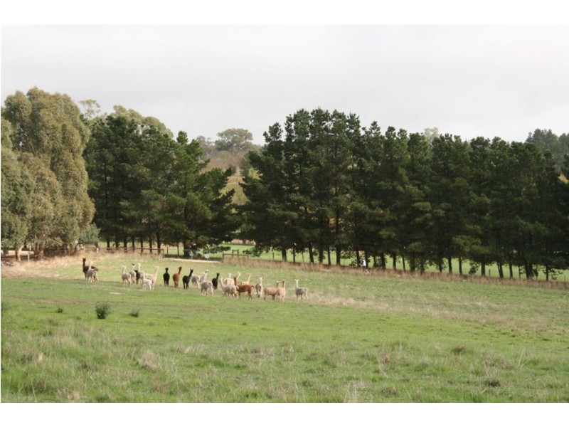Lot 1 Laubes Road, Springton SA 5235
