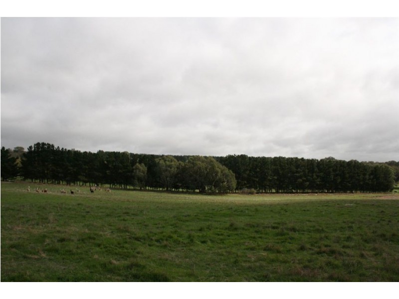 Lot 1 Laubes Road, Springton SA 5235