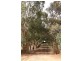 Lot 1 Laubes Road, Springton SA 5235