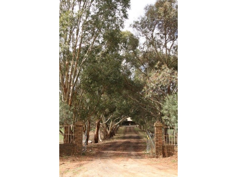Lot 1 Laubes Road, Springton SA 5235