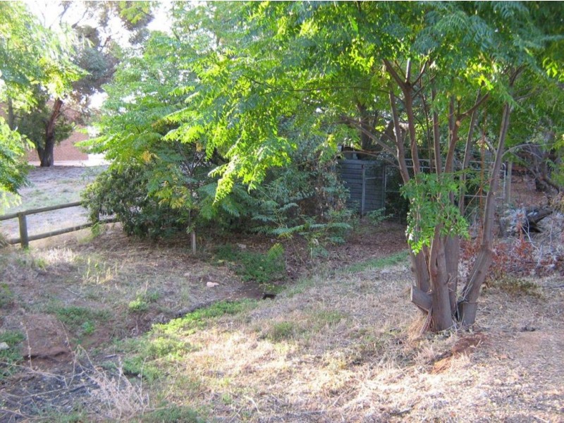 20 Third Street, Napperby SA 5540