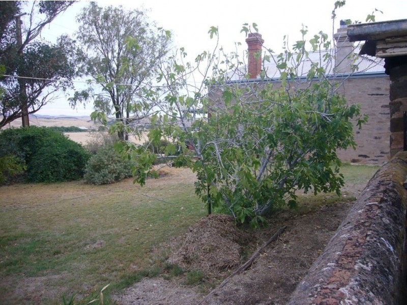 1 Llanelly Street, Burra SA 5417