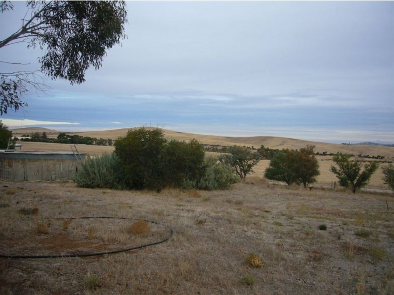 1 Llanelly Street, Burra SA 5417