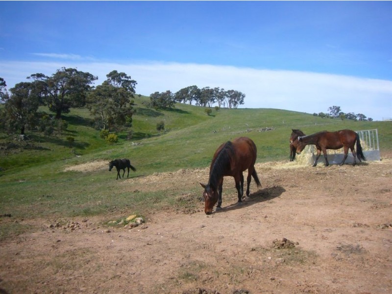 Lot 1998 Emu Rock Road, Clare SA 5453