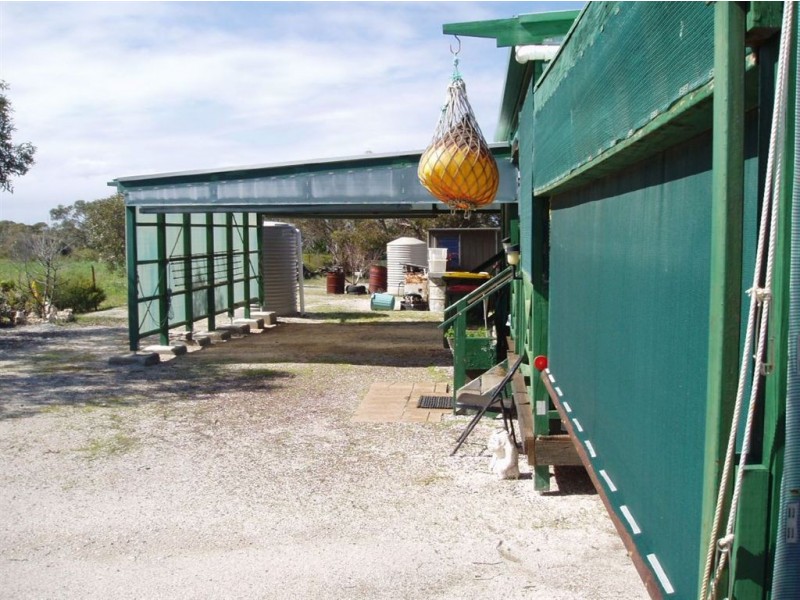 Lot 12 Govt Rd, Port Kenny SA 5671