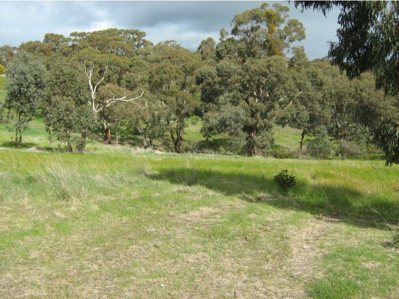 21 Norman Drive, Clare SA 5453
