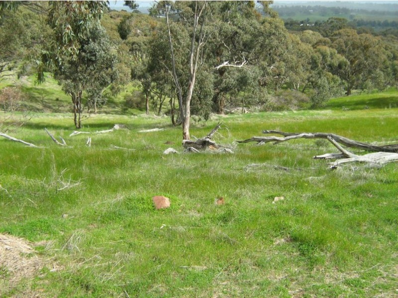 21 Norman Drive, Clare SA 5453