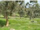 21 Norman Drive, Clare SA 5453
