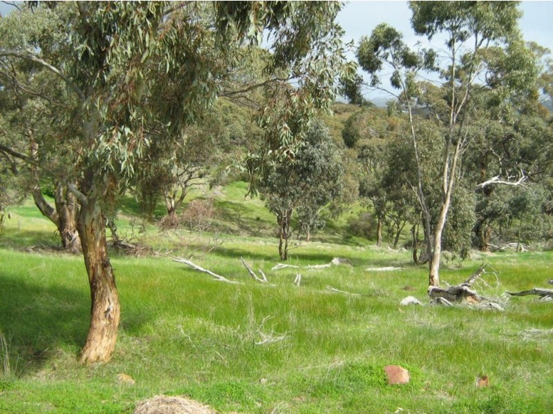 21 Norman Drive, Clare SA 5453
