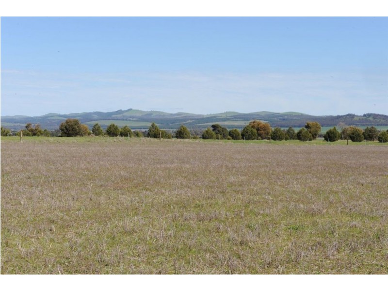 647(sctn) Government Road/ Boucaut rd, Jamestown SA 5491