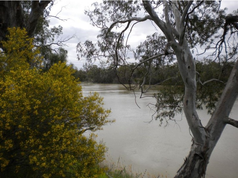 Lot 13 Riverboat Road-Hogwash Bend, Morgan SA 5320