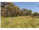 534 KIDMAN STOCK ROUTE ( section 534), Jamestown SA 5491