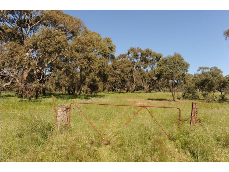 534 KIDMAN STOCK ROUTE ( section 534), Jamestown SA 5491
