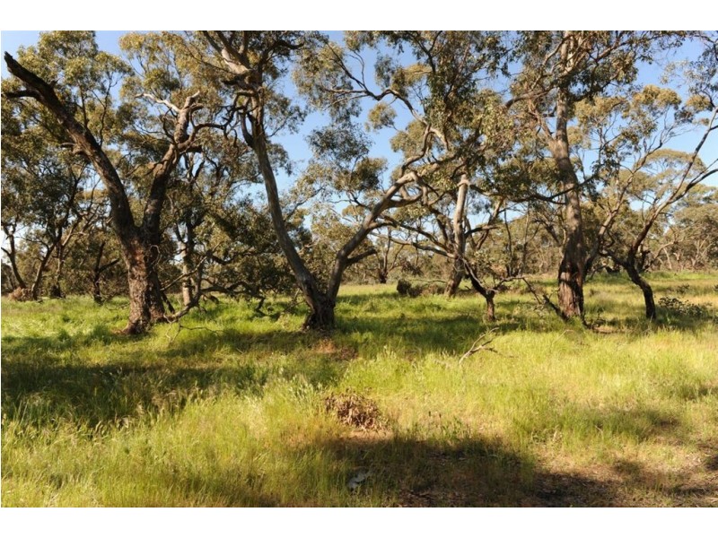534 KIDMAN STOCK ROUTE ( section 534), Jamestown SA 5491