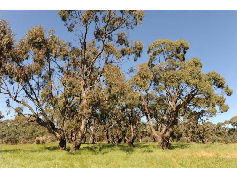 534 KIDMAN STOCK ROUTE ( section 534), Jamestown SA 5491