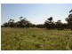 534 KIDMAN STOCK ROUTE ( section 534), Jamestown SA 5491